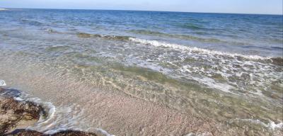 Прикрепленное изображение: IMG_20211104_224213_resize_81.jpg